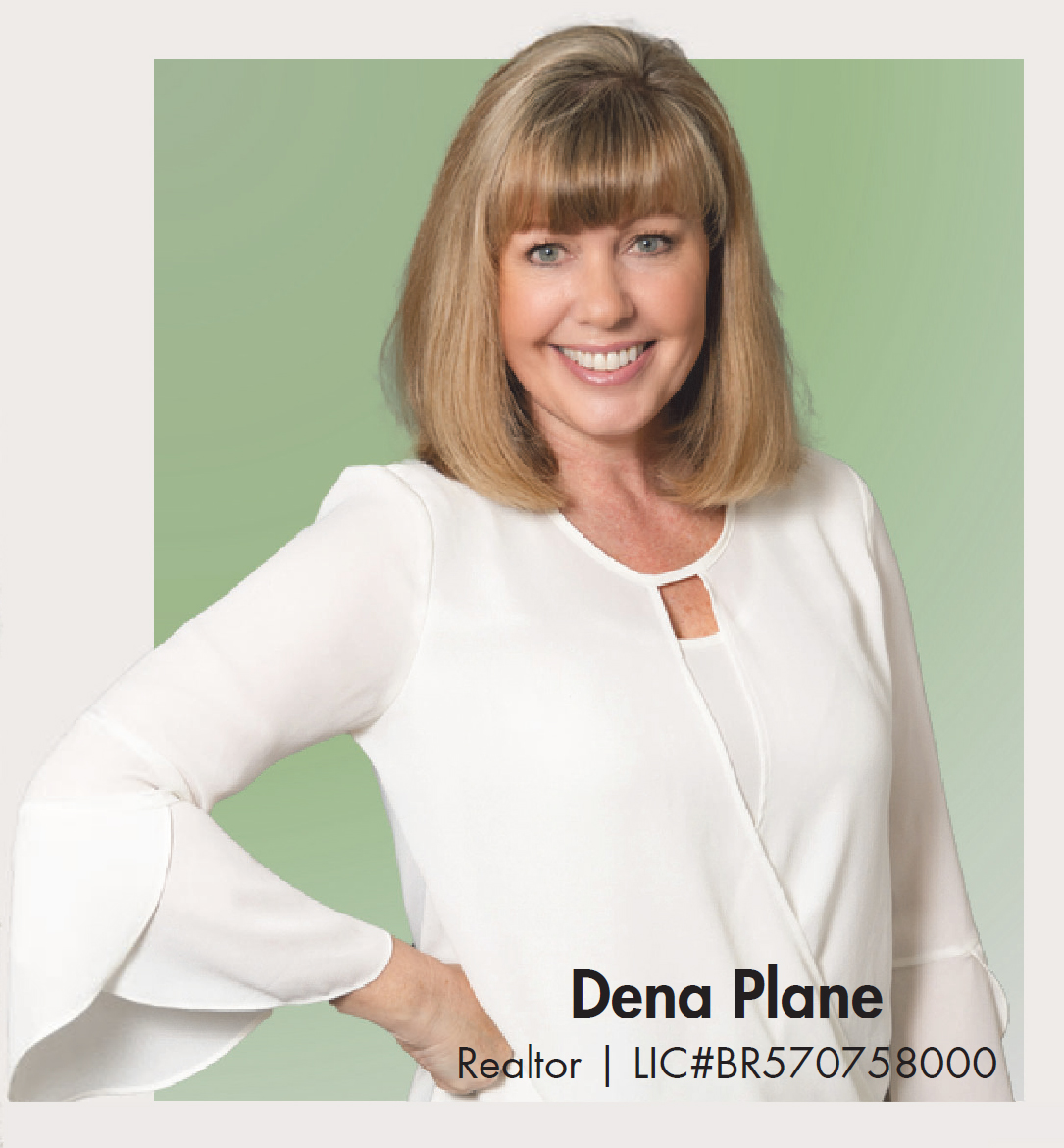 Dena-Plane